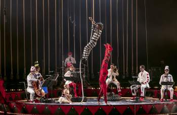 Circus days and nights Circus days and nights