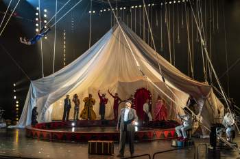Circus days and nights